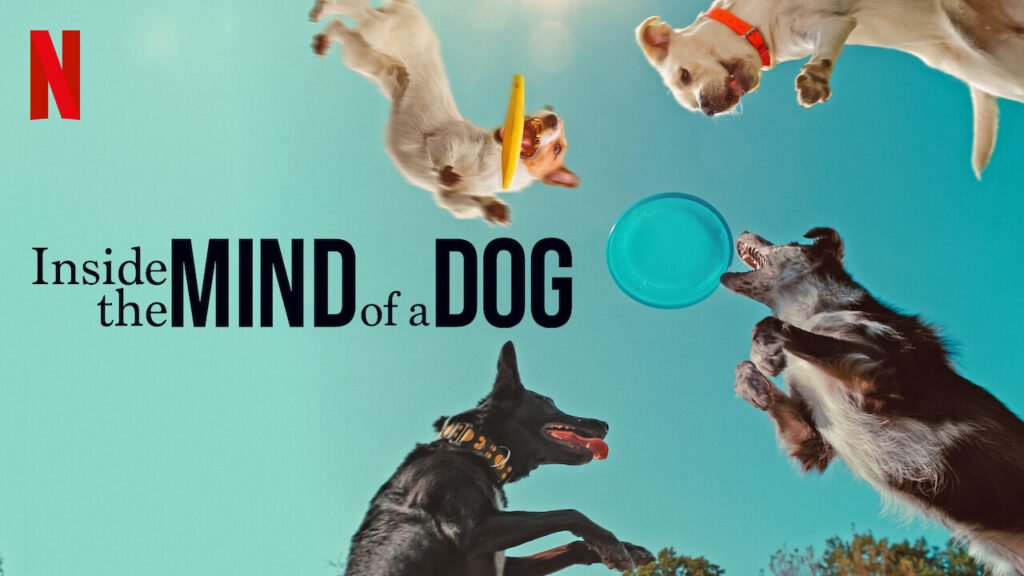 Inside the Mind of a Dog (2024) Inside-the-Mind-of-a-Dog-(2024)